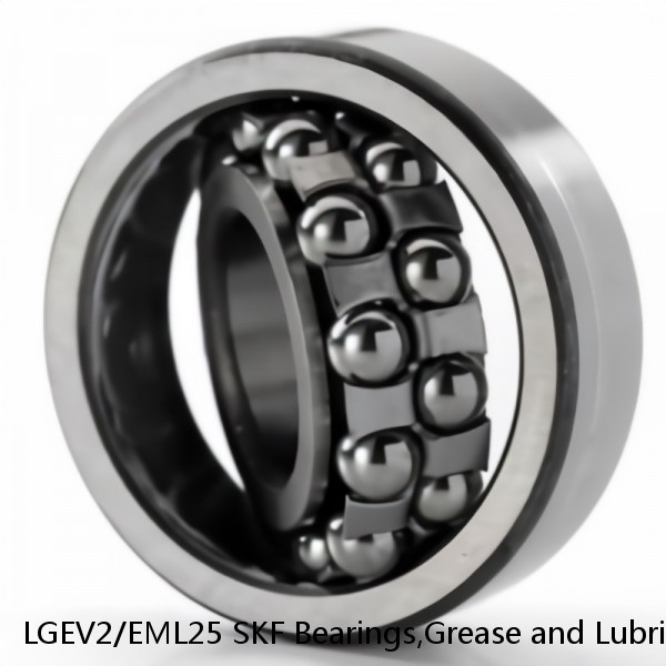LGEV2/EML25 SKF Bearings,Grease and Lubrication,Grease, Lubrications and Oils