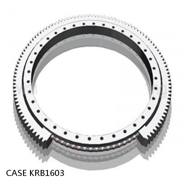 KRB1603 CASE SLEWING RING for CX210