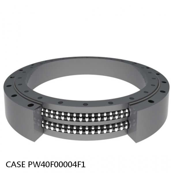 PW40F00004F1 CASE SLEWING RING for CX36B