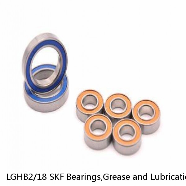 LGHB2/18 SKF Bearings,Grease and Lubrication,Grease, Lubrications and Oils