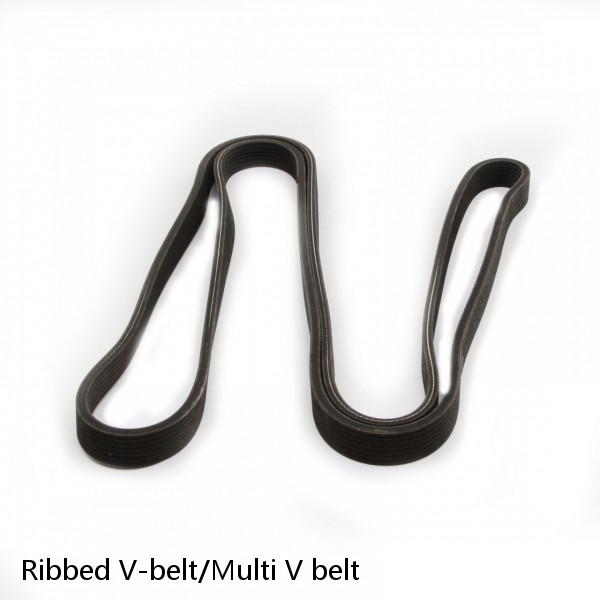 Ribbed V-belt/Multi V belt