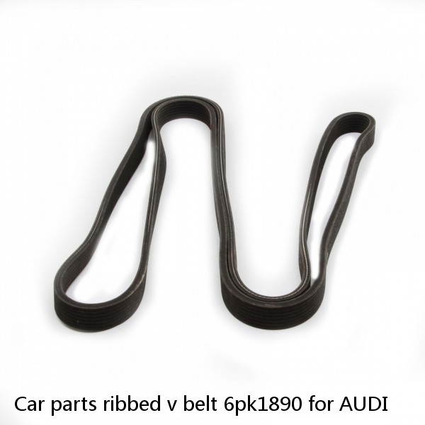 Car parts ribbed v belt 6pk1890 for AUDI