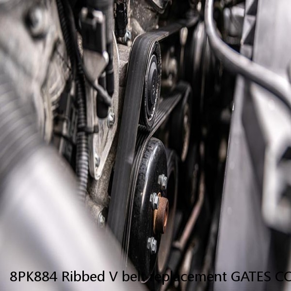 8PK884 Ribbed V belt replacement GATES CORPORATION K080348 - Serpentine Belt - Micro-V Serpentine Drive Belt